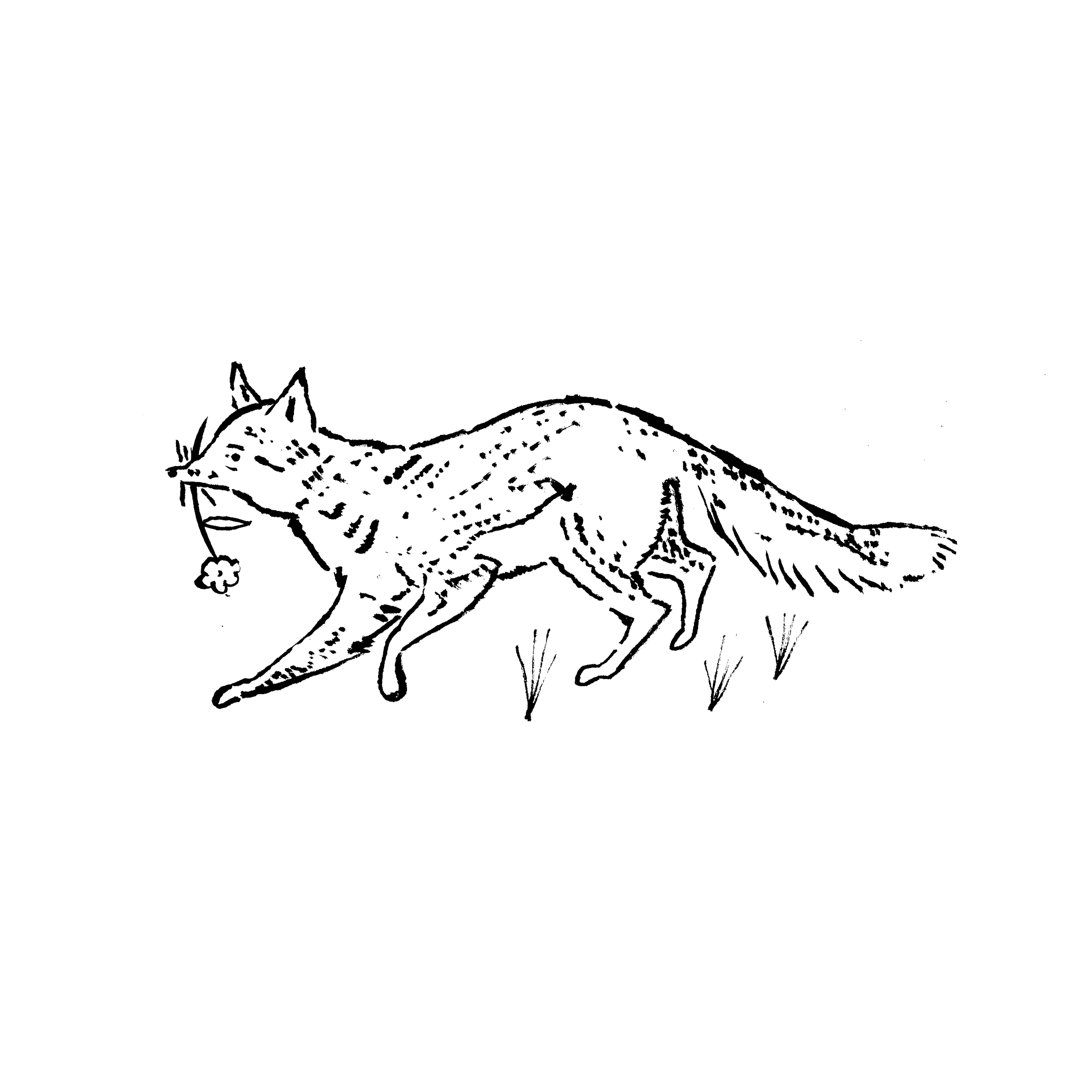 Fox carrying a flower