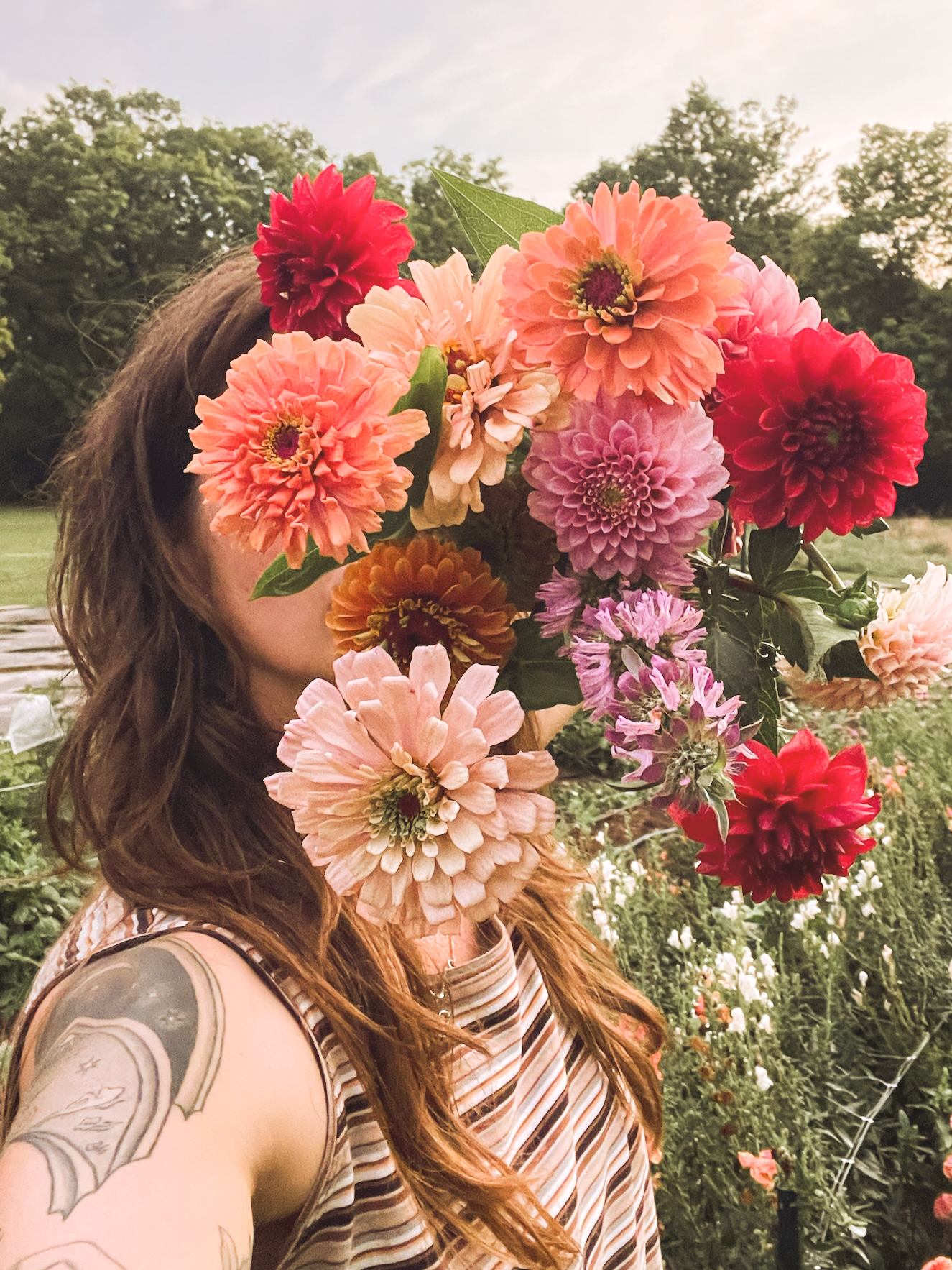 Person with dahlias in field